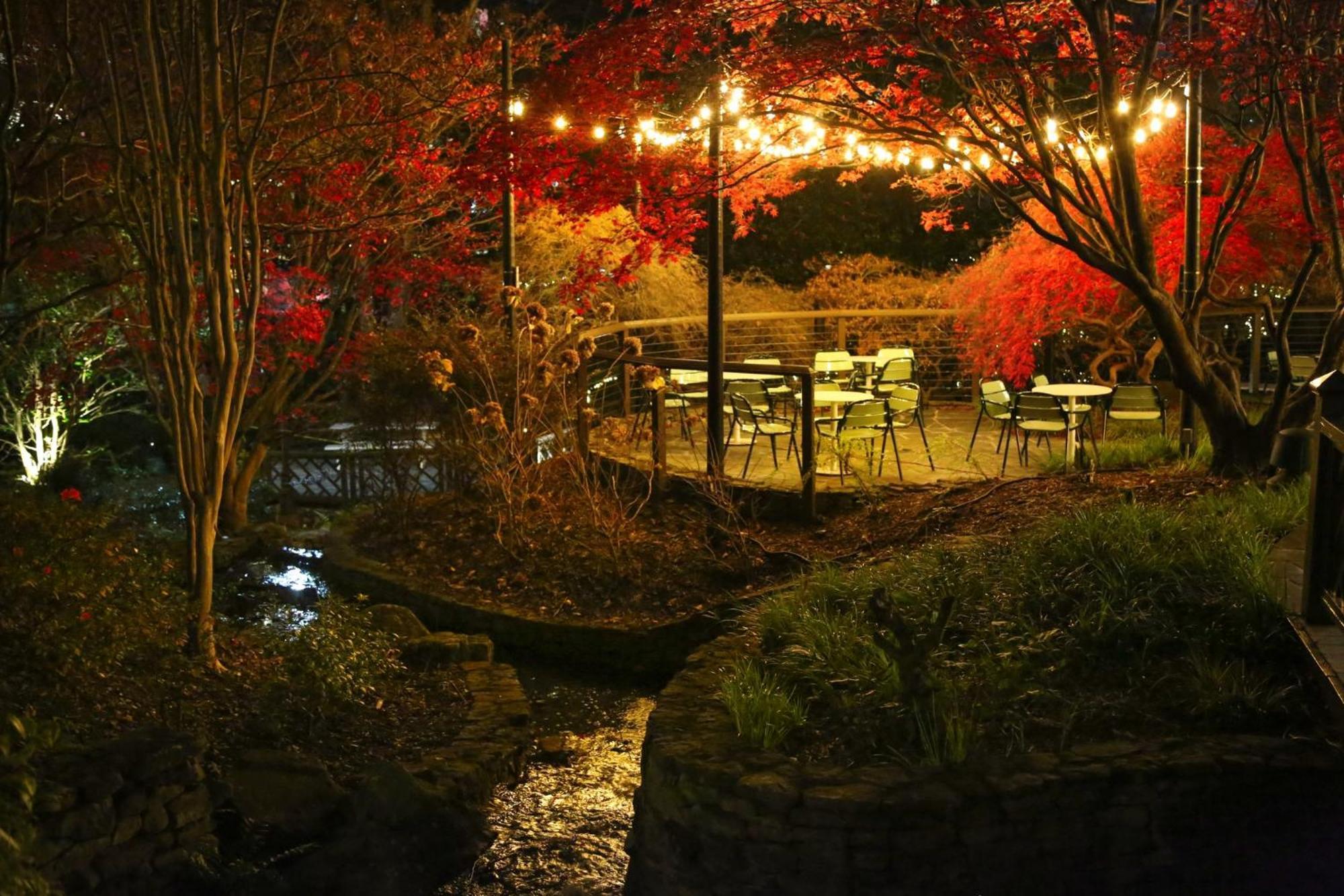 คราวน์ พลาซา ราวีเนีย Hotel ดันวูดดี ภายนอก รูปภาพ